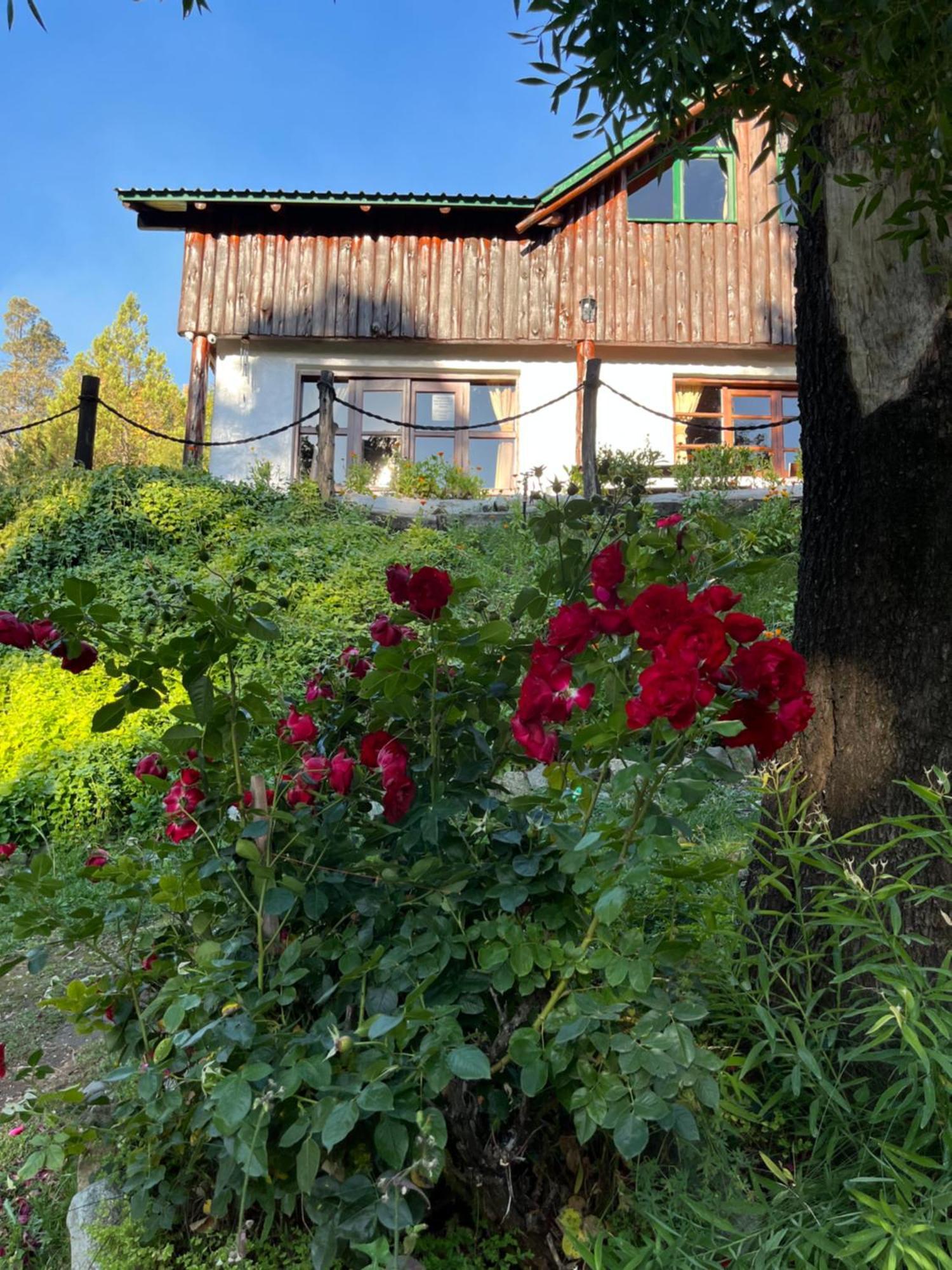 Hostel El Mirador เอลโบลซอน ภายนอก รูปภาพ