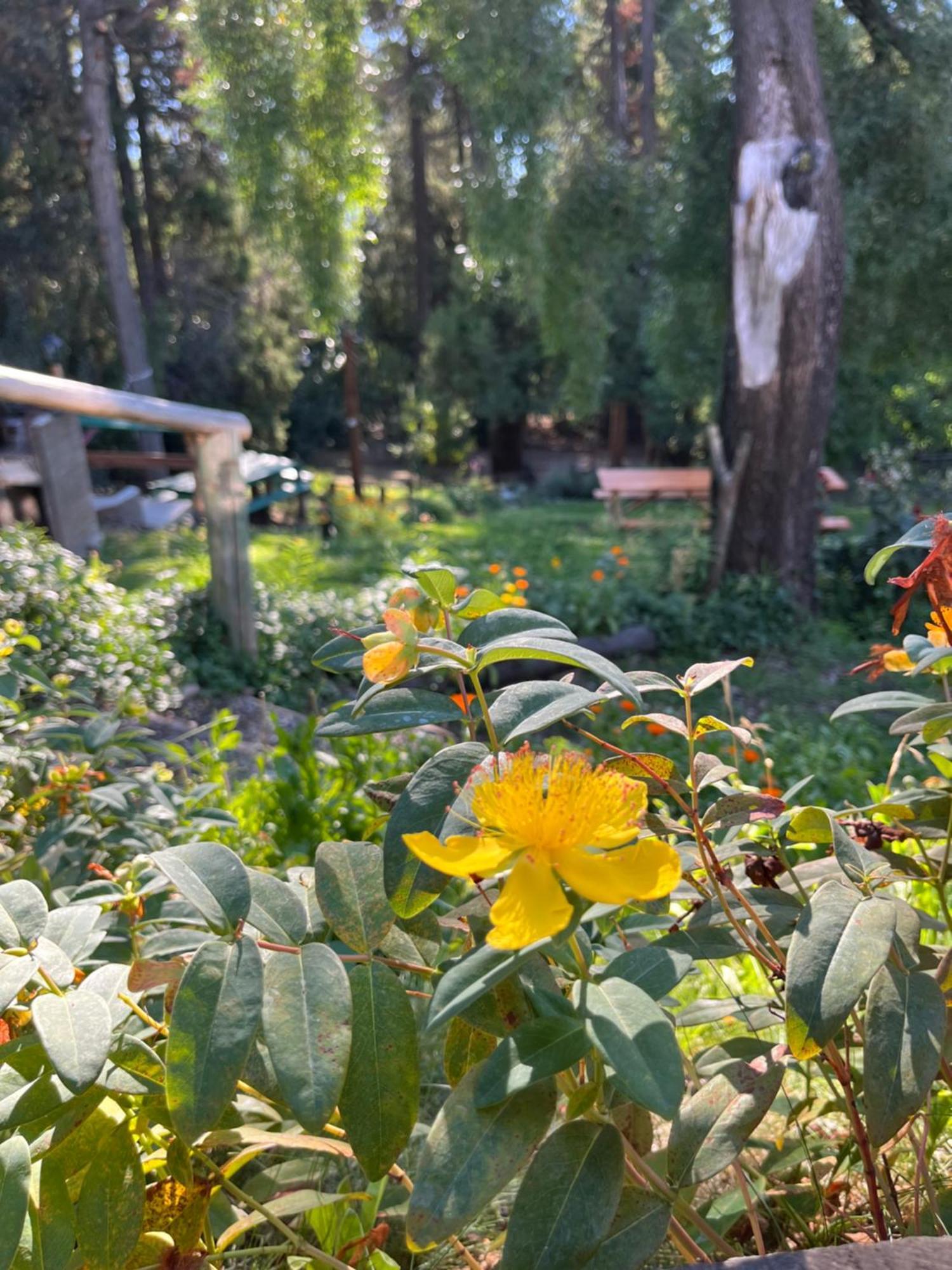 Hostel El Mirador เอลโบลซอน ภายนอก รูปภาพ