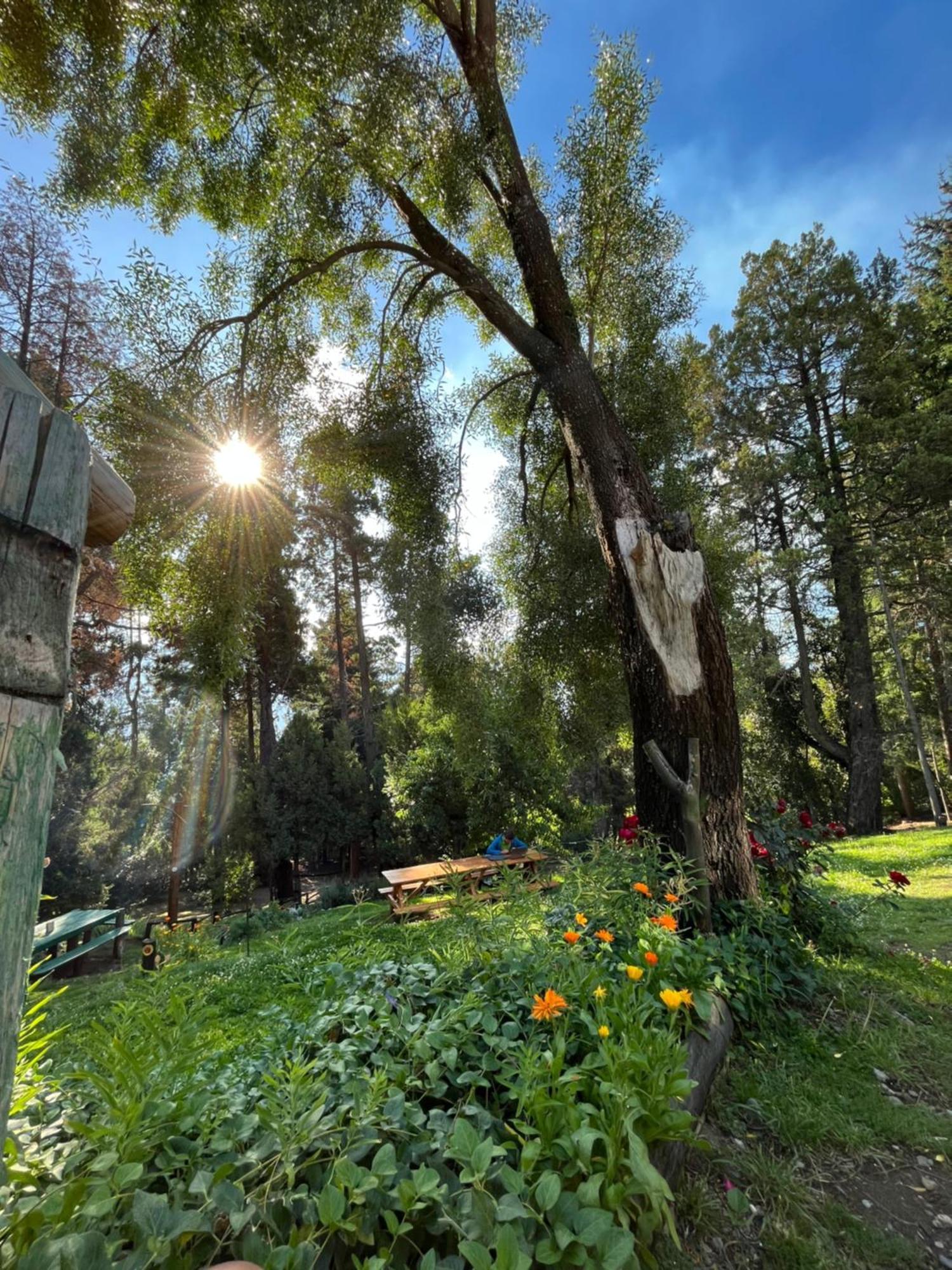Hostel El Mirador เอลโบลซอน ภายนอก รูปภาพ