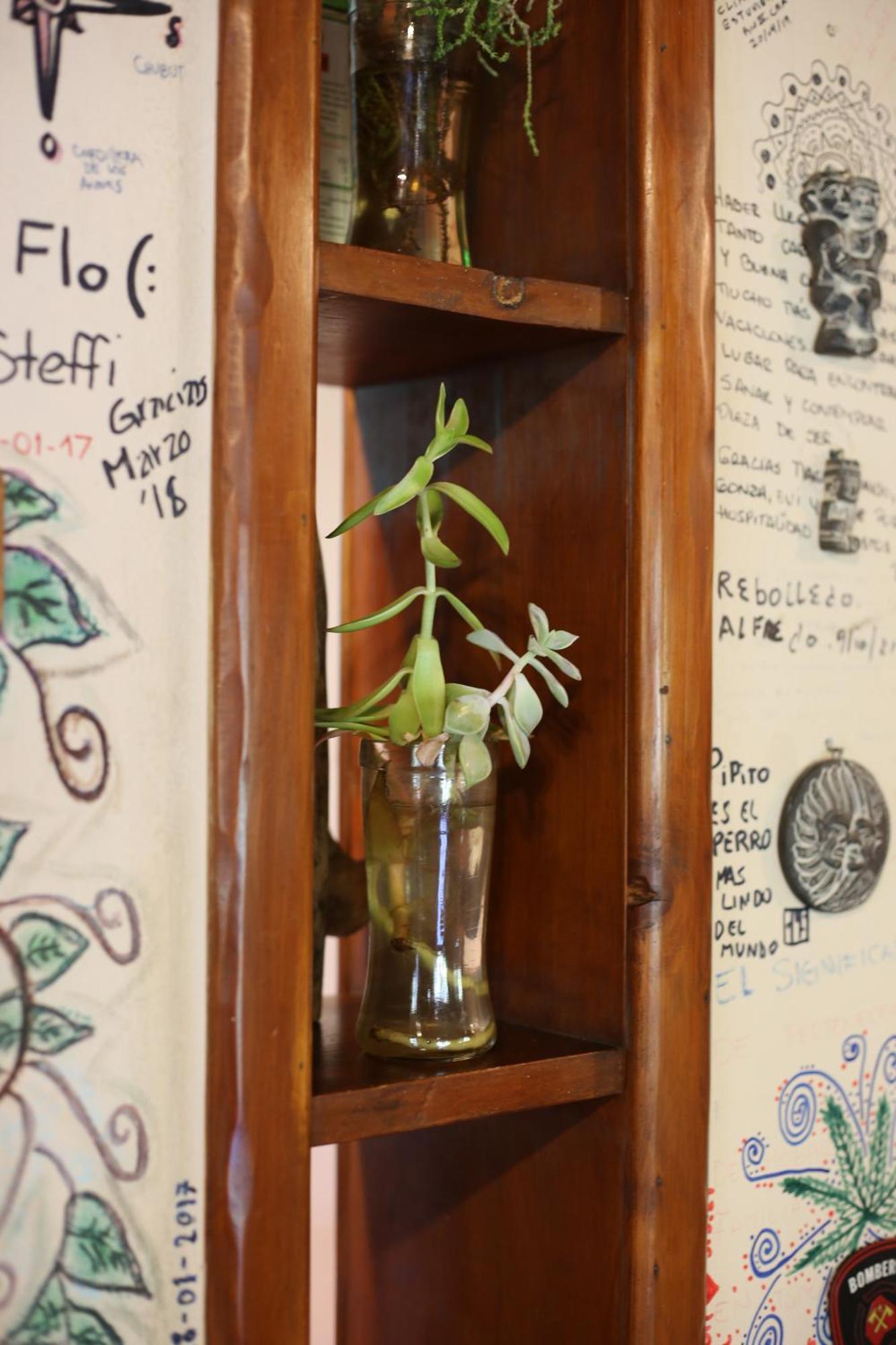 Hostel El Mirador เอลโบลซอน ภายนอก รูปภาพ